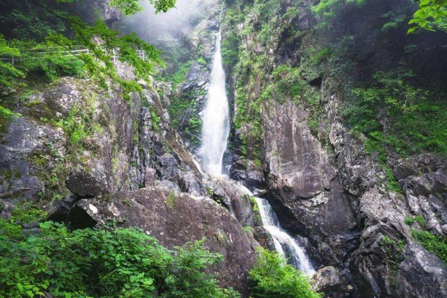 零基础做疗愈师需要学习什么?-东莞心理咨询师课程,东莞心理咨询师培训,疗愈